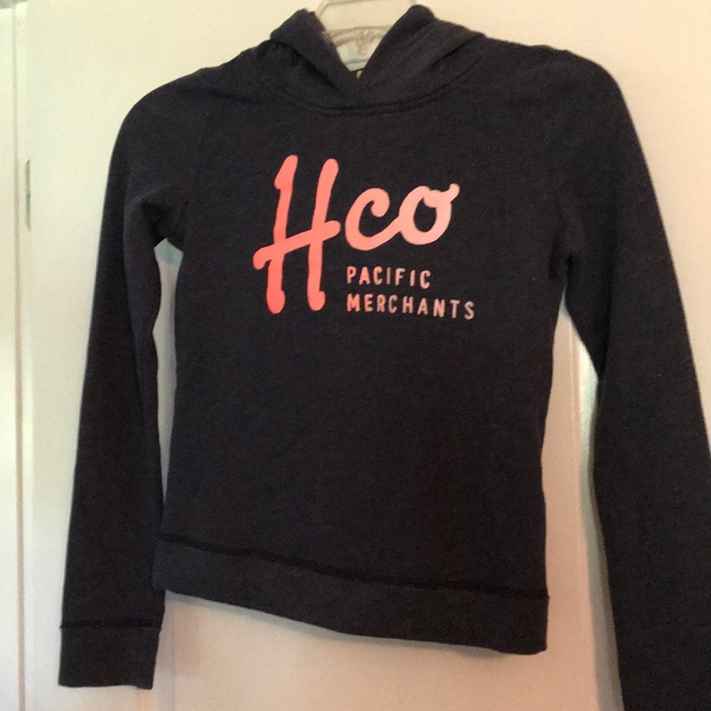 Hollister Blue hoodie